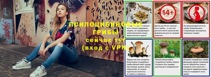 Псилоцибиновые грибы MAGIC MUSHROOMS  Богородск 